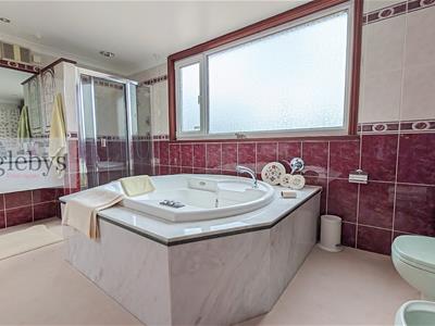 Picture 21
